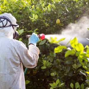 Operatore di GA Gestioni Ambientali impegnato in un intervento di disinfestazione su aree verdi.